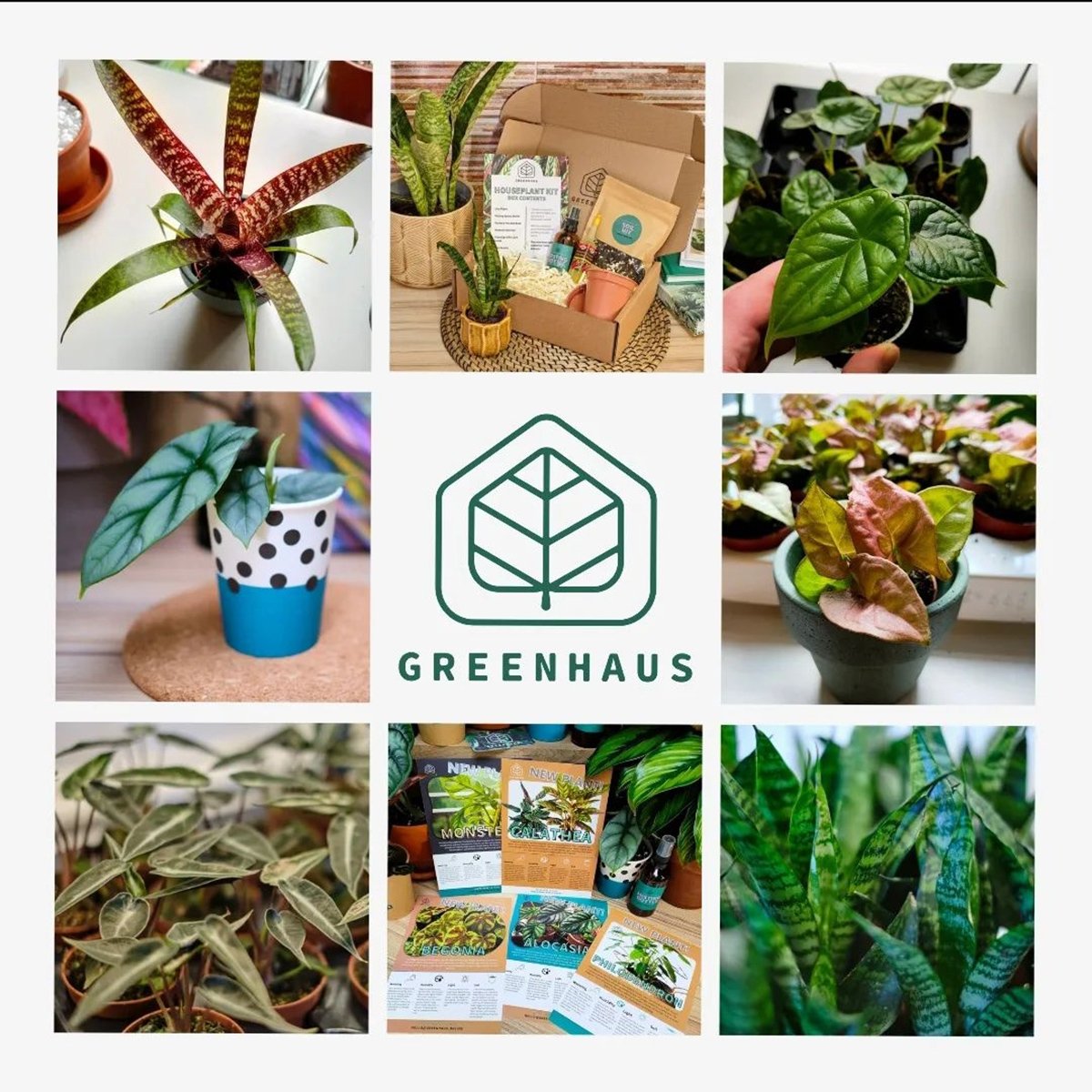 اصول طراحی لوگو گلخانه