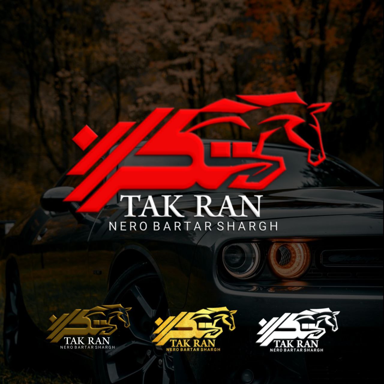 طراحی لوگوقطعات خودرو و لوازم یدکی ماشین